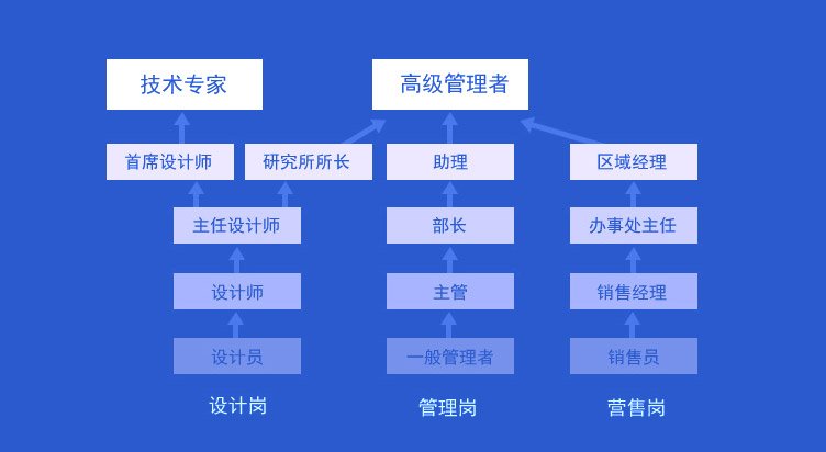 多條職業發展通道